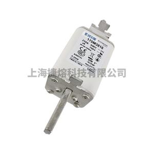 170M316170M381D170M83817电子6元 器件快速熔RWU断器现货直发
