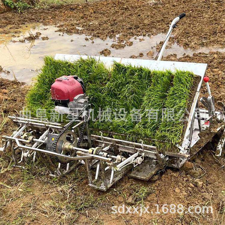 人家用小秧型4-6行水稻插机免汽油动工力轻HGK型水稻种植机