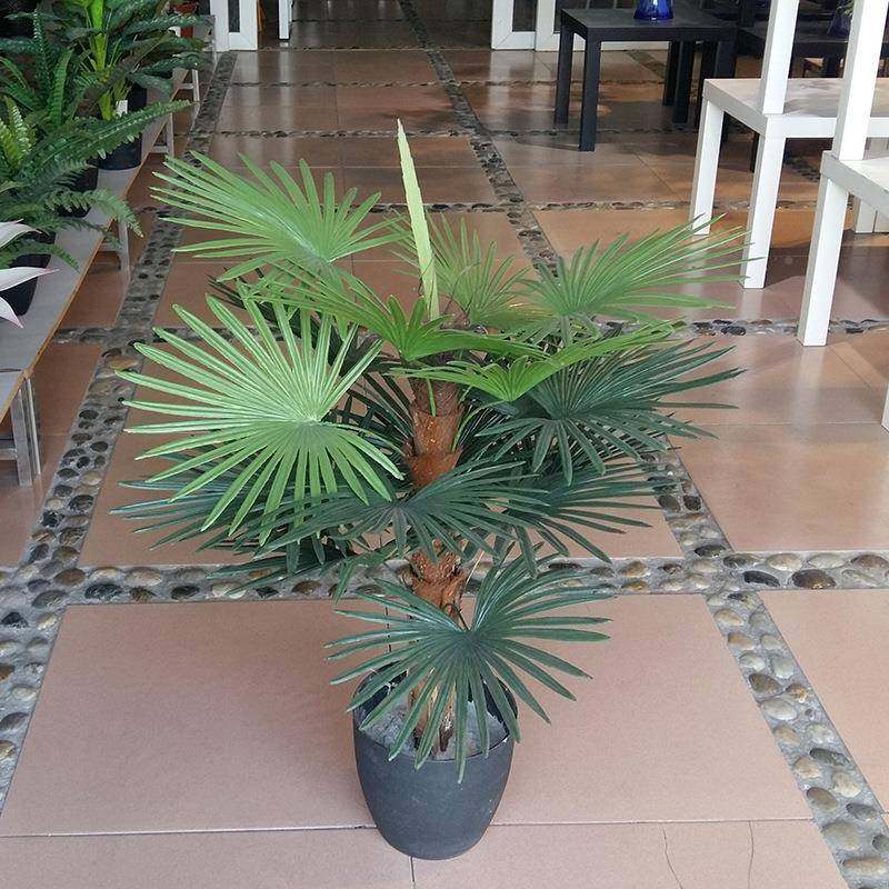 植厂家直销仿装真小葵树绿摆放盆栽胶叶葵树RDF小叶扇葵树软盆景