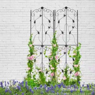 户花园爬爬藤架铁艺做旧装饰DIX屏外风墅庭别院植物花架蔷薇月季
