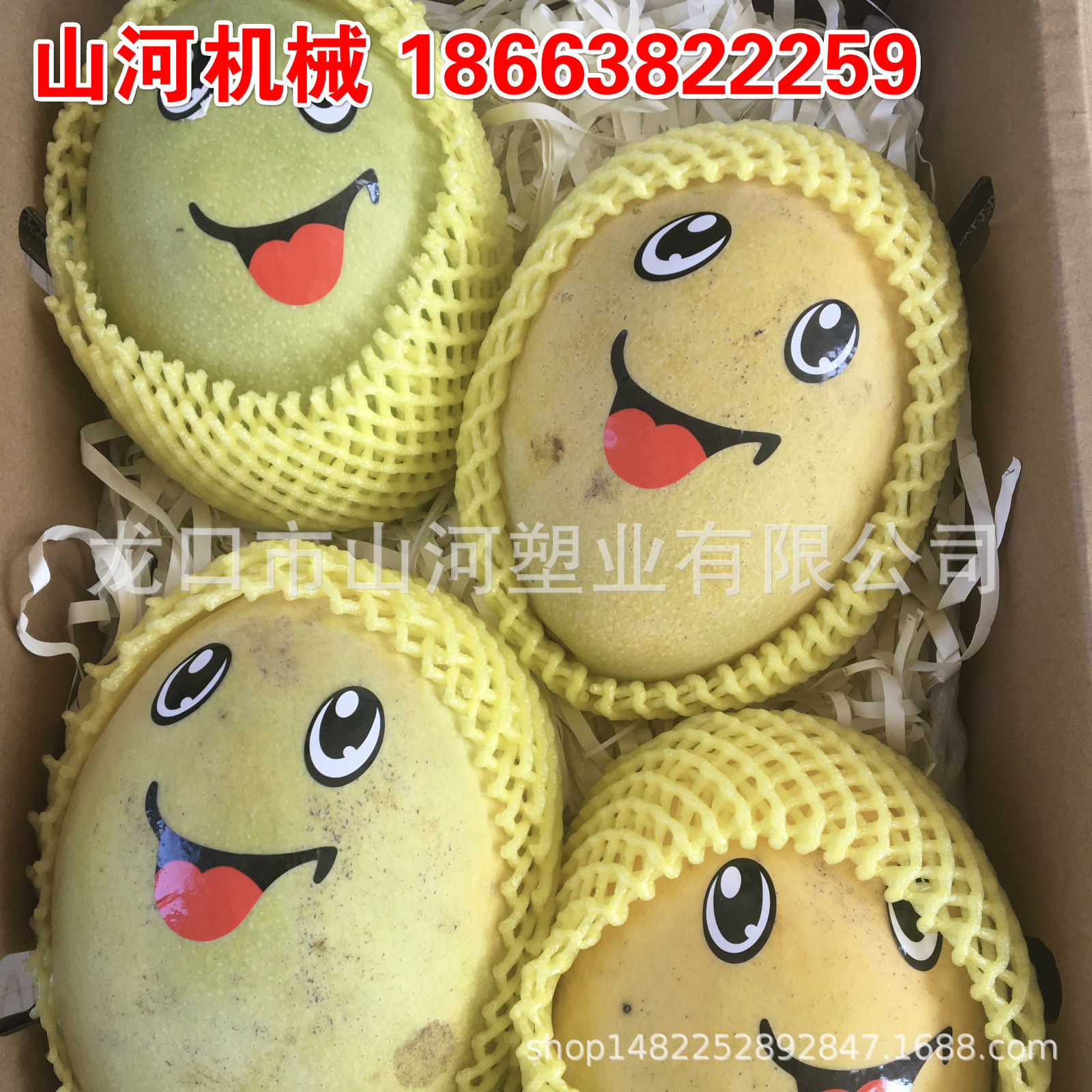 山东发泡水果土豆西瓜网套机