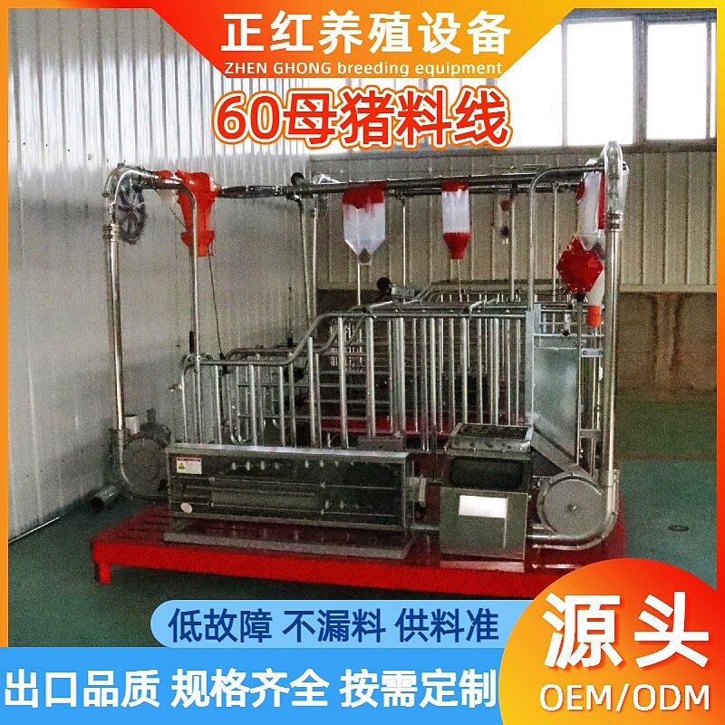 养猪场60母猪自动料线