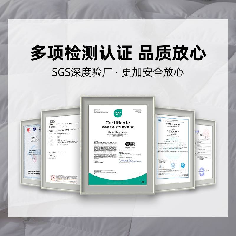 现货五星酒店羽绒床垫2-4cm白鹅绒软垫加厚双层单人宿舍床褥垫子