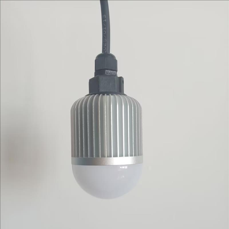 12V/24V/36V 节能灯 LED低压行灯 低压led球泡灯 SG-FW6322家用
