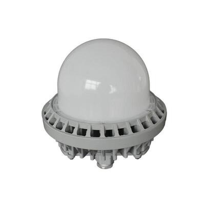 LZ845LED泛光工作灯50W平台灯护栏式弯灯车仓库SLH8间仓房弯管壁