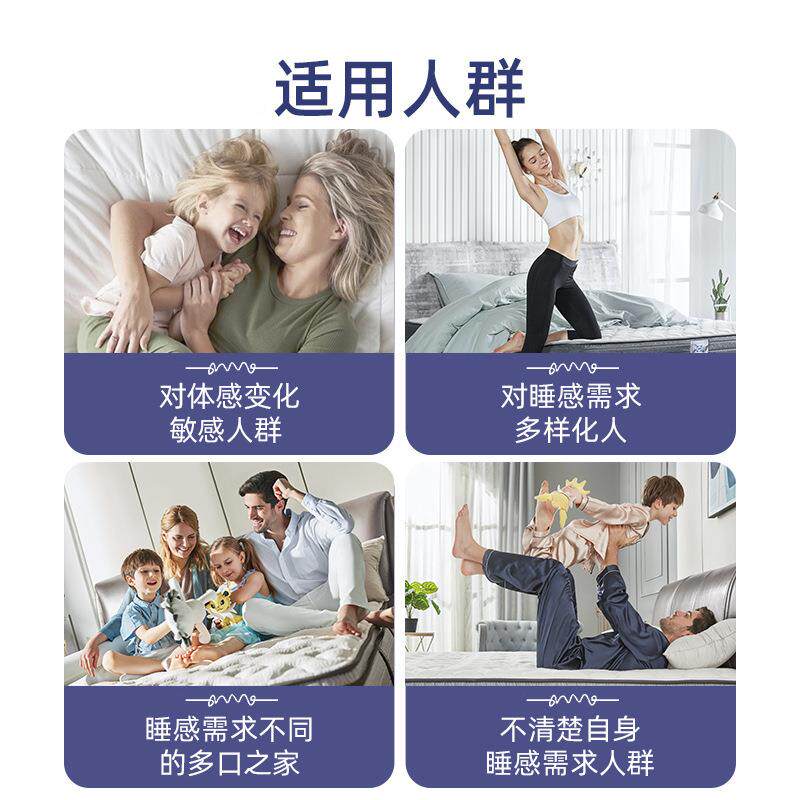 Seal席y垫/丝涟魔ZSQ术师弹美姿簧床软硬可调家用梦思
