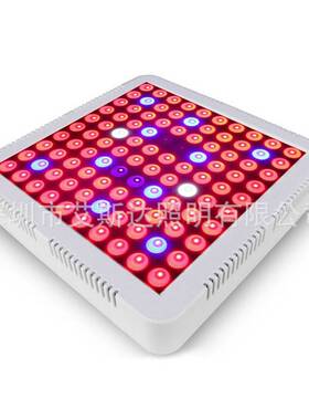 跨境植物灯100W300W600W植物生长灯促多肉育苗茎叶大棚蔬菜补光灯