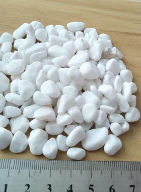 水洗石砾石胶粘水石磨石雨石子洗米石子碎石FJQ瓜片花石鹅卵石沙