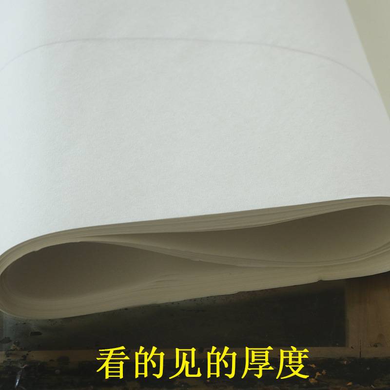 扇面宣纸四尺扇面加厚书法国画创作国展作品纸手工仿古半生熟生宣