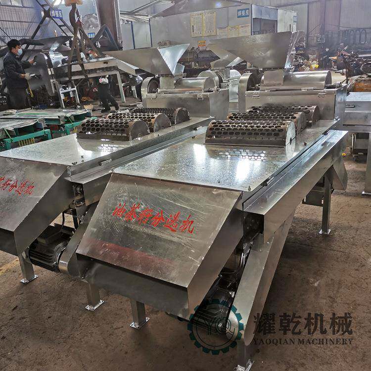 油茶果山剥皮机新鲜籽剥设备壳10吨/天带茶55877740料试机茶果脱