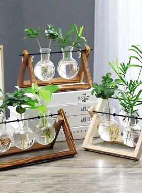 创意木架水培花瓶绿萝玻璃花瓶容器办公室内桌面绿植摆件装饰花盆