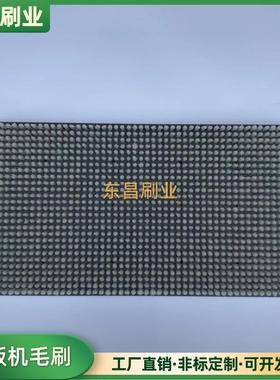 晒版机自动版机毛刷脂版毛刷洗水树柔性版洗毛刷不干胶洗版RHB刷