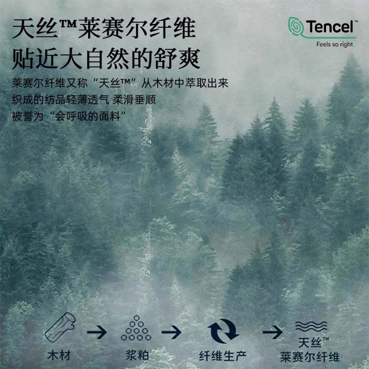 夏季天丝床单单件纯色单双人宿舍冰丝裸睡凉感真丝被单枕套三件套