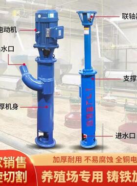 立式龙抽粪泵殖场抽粪机切化粪池ABG无堵塞排污泵抽粪绞龙蛟螺旋