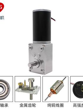 立584Y0-36Z微型直1流减速电机钢齿轮蜗杆盛调速慢速马达294063V2
