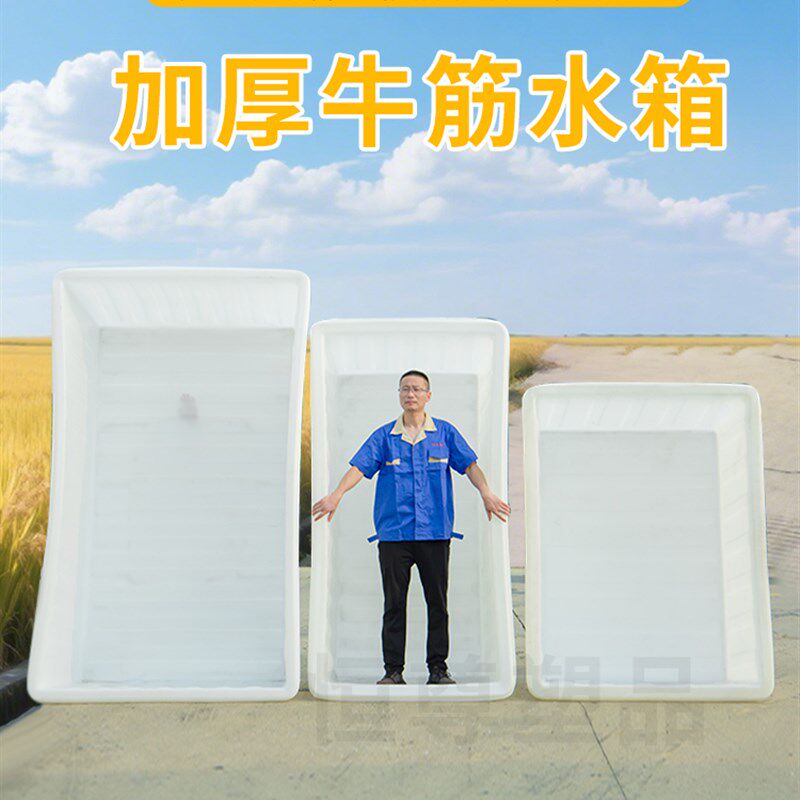 牛筋塑料水箱长方形加厚大容量水产养殖养鱼卖鱼大号储水桶周转箱