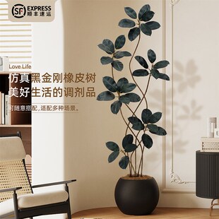 黑金刚橡皮树仿真绿植室内高级感落地装饰大盆栽客厅仿生假树植物