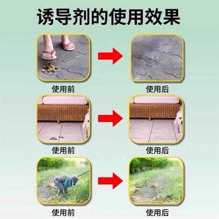 狗狗定点上厕所神器粪便自动清理防止小狗乱拉屎尿比熊排便诱导剂