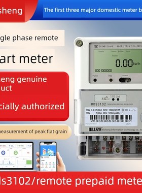 威盛Dds3102单相4g远程智能电表远程电表副本出租房预付费电能表2