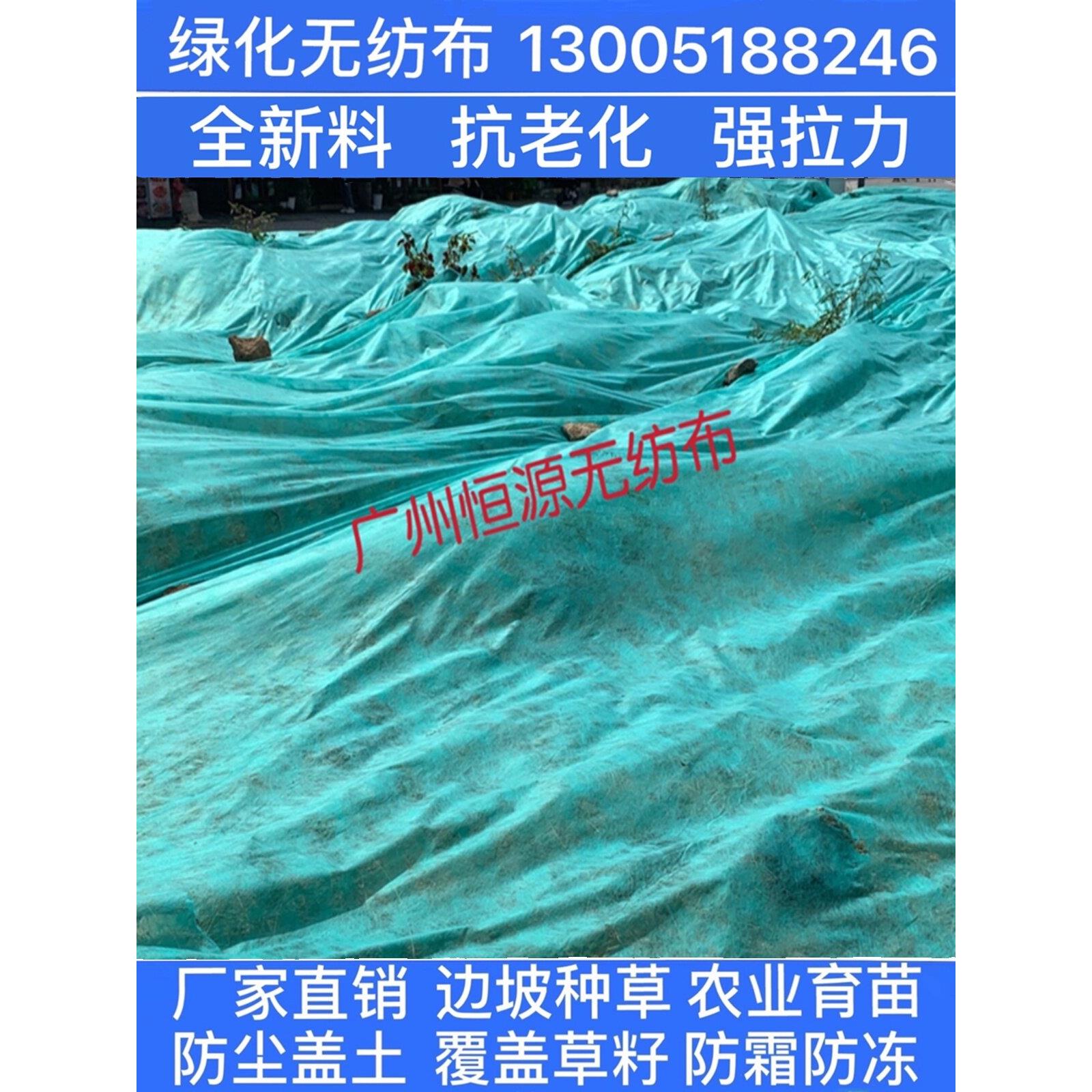 绿色无纺布绿化透气膜园林施工场地防尘罩布草坪护坡边边坡种植无