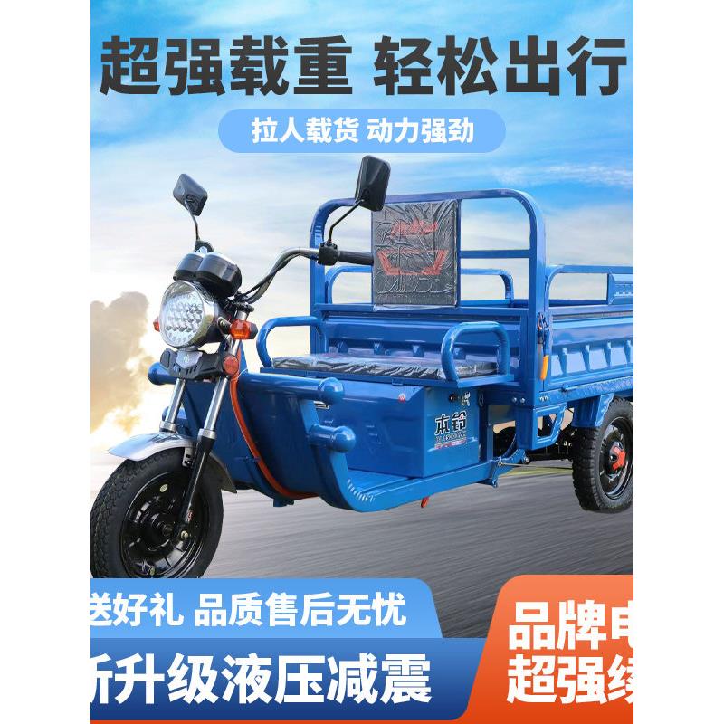 全新国标电动三轮车载重王拉货三轮车快递车新款家用电瓶车农用车
