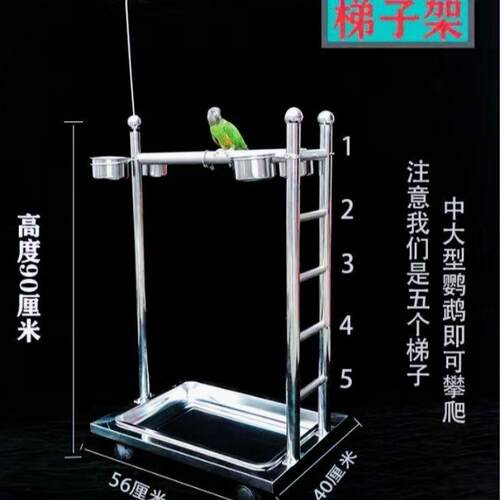 鹦鹉鸟类站架不锈钢鹦鹉站架折衷观赏架梯子架栖息架中大型饲养架