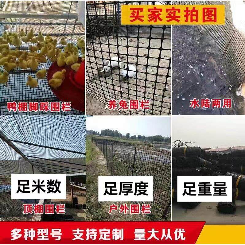 养鸡塑料围栏网阳台安全防护网隔离网鸡鸭围网漏粪网养殖网