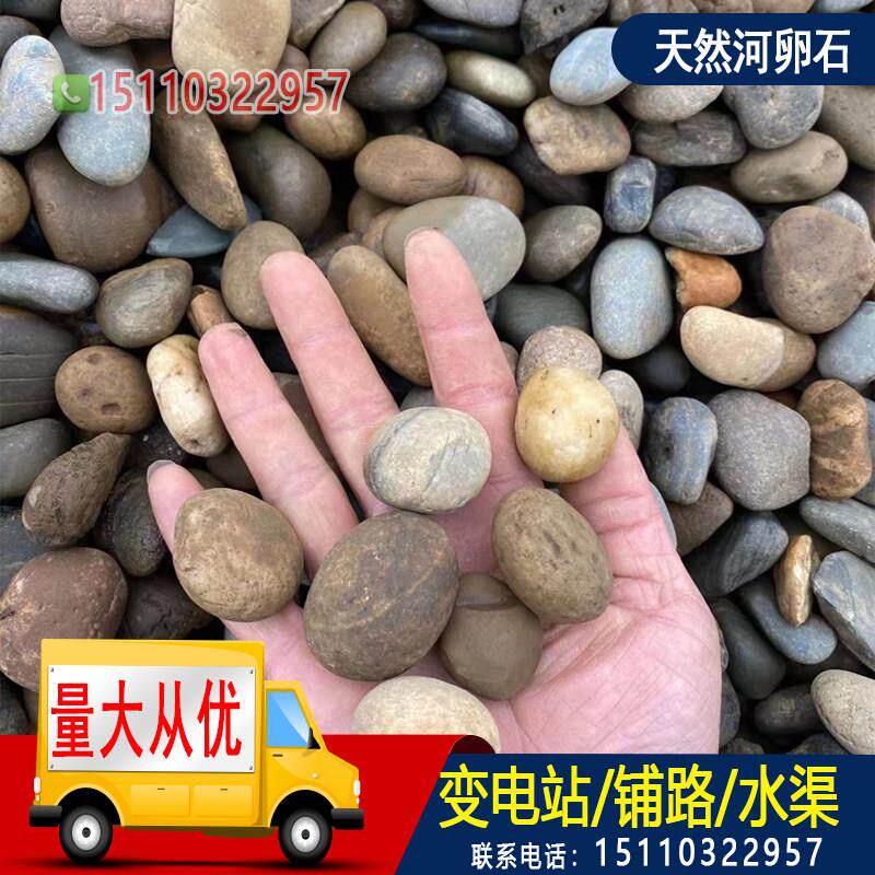 江苏河卵石铺路大号河卵石黑白石头原石鱼缸装饰天然鹅软暖石
