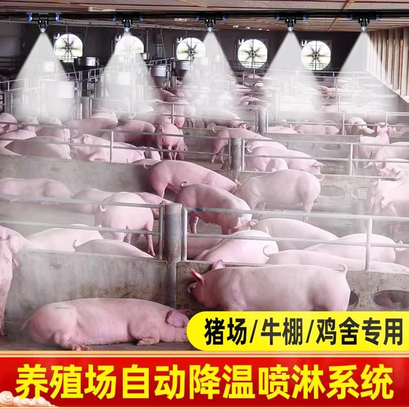 养殖场降温喷雾设备鸡舍养猪场喷淋系统喷雾器养羊牛鸭棚雾化喷头