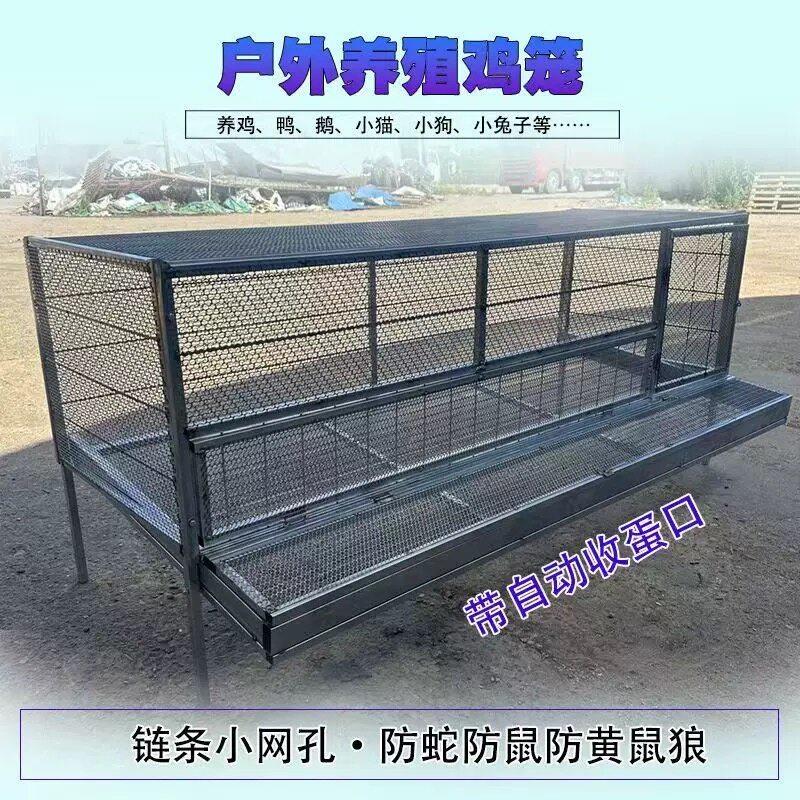 鸡笼子家用室外防雨自动收蛋防啄防黄鼠狼防鼠加厚不锈下蛋养殖笼