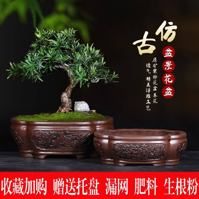 紫砂仿古浮雕花盆榕树花盆发财树盆景兰花特大陶瓷透气盆栽盆景盆