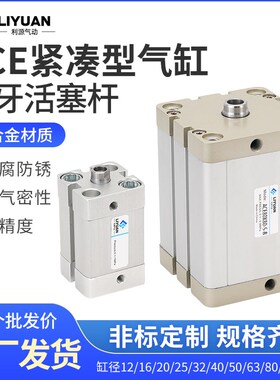 ACE气缸12/16/20/25/32*5X10X30X50X80X100内牙S/-SB