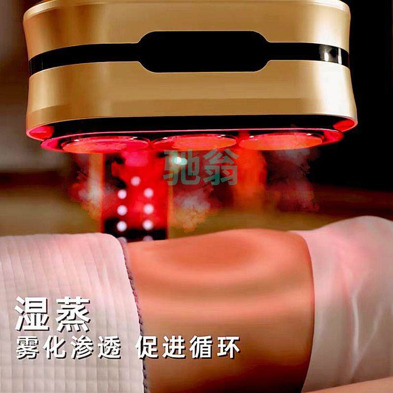 xsz艾灸仪器家用宫寒理疗熏蒸仪盒随身灸养生美容院专用艾炙灯加