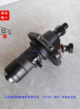 S15S1110S111511Z25H1100LFFC24柴油机9喷S油泵江苏泗洪油泵油嘴