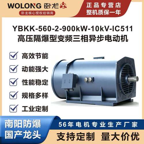 卧龙YBKK-560-2-900kW-10kV-IC511压隔爆型变频三相异步电动机