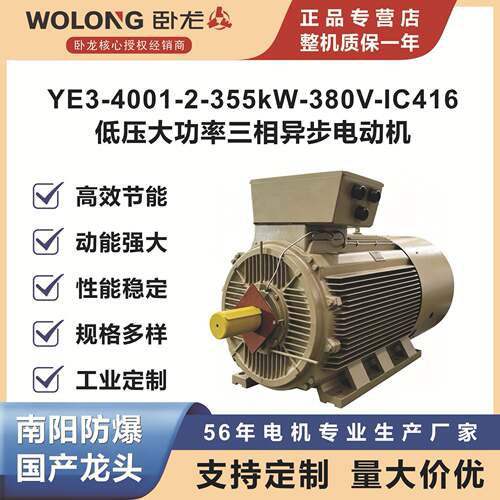 卧龙YE-4001-2-55kW-80V-IC416-B低压大功率三相异步电动机