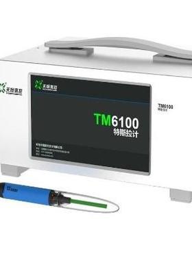 天恒TM6100/TM6100B多功能磁通计 N/S极可直接显示