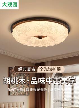 卧室吸顶灯中古美学经典复古全光谱护眼新款花纹书房餐厅灯具357L