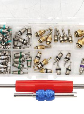 102pcs汽车调气门1芯盒装R1292398R34a制维修工具套件空1/4