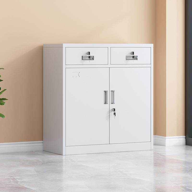 办公室二斗柜文件柜铁皮书柜收纳柜财务凭证档案资料带锁储物柜子,鲜花速递/花卉仿真/绿植园艺,割草机/草坪机,淘宝优惠券,粉丝福利购,淘宝优惠卷