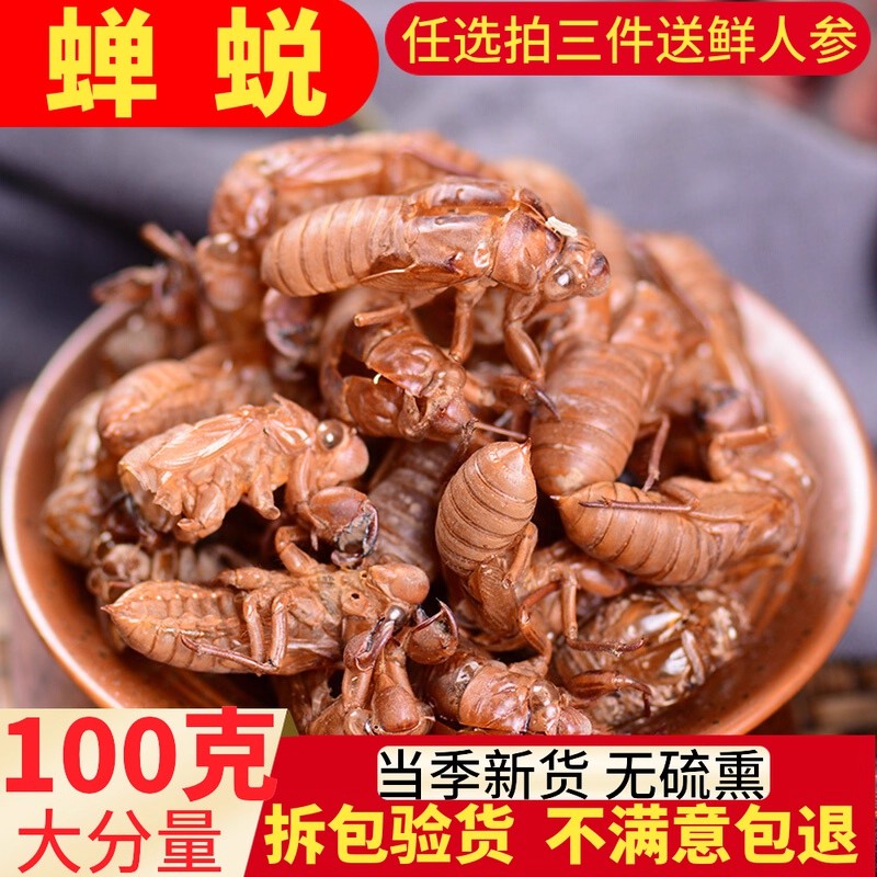 蝉蜕金蝉衣金蝉壳蝉脱粉中药材虫蜕虫退知了壳知了皮100g克包邮