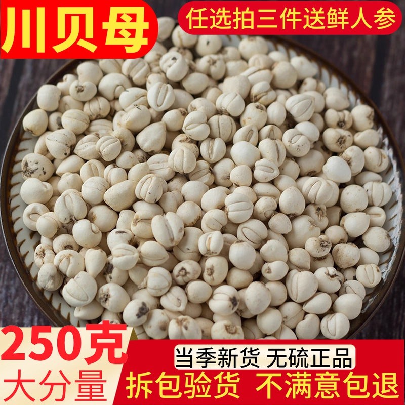 四川贝中药材250g克包邮 川贝粉 正品特级川贝母粉野生川贝粒