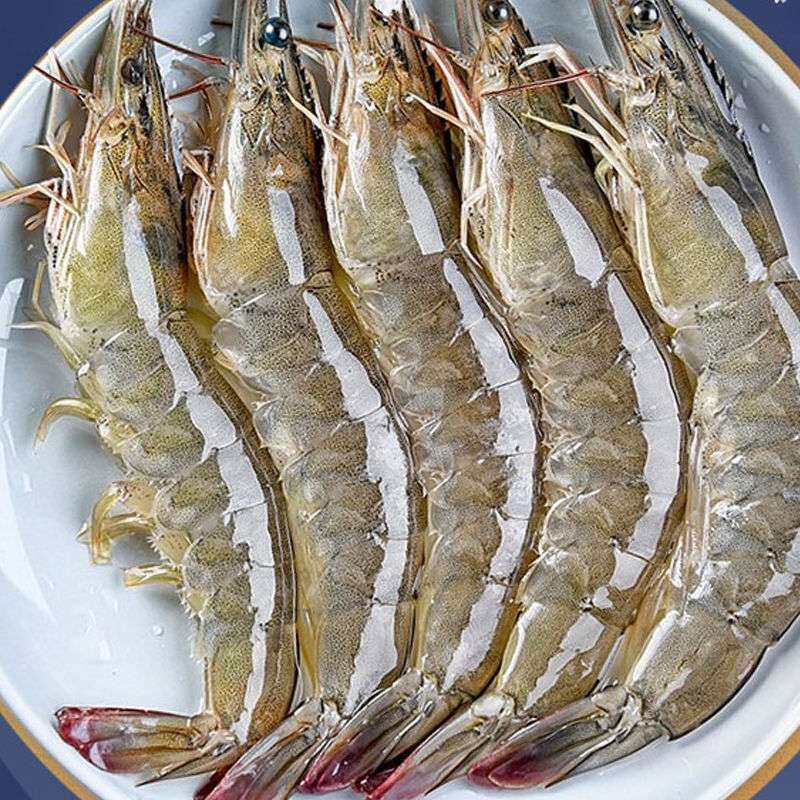 新鲜大虾一箱鲜虾活虾冷冻青岛基围虾大对虾海鲜