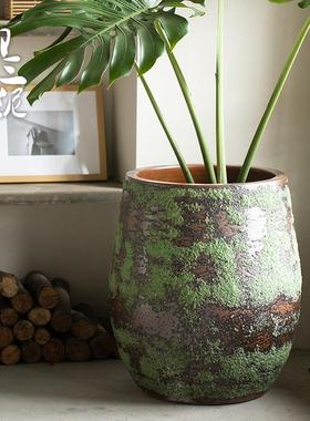 陶231215绿瓷绿植水培陶简罐大径室内植物带托盘北欧盆现代约口花