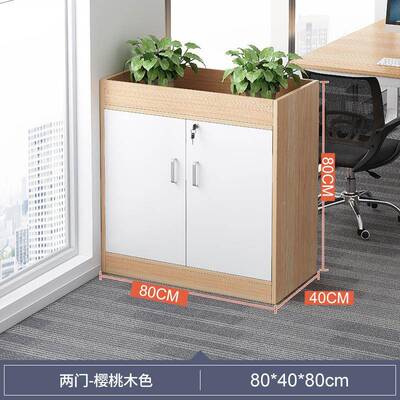 办室木质文件柜办志G556公柜约带锁现代简矮柜隔断柜资料柜档案组