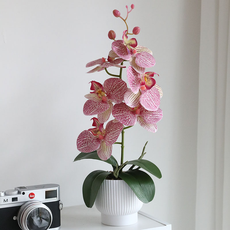 高品质蝴蝶兰仿真花假花盆栽摆设高档客厅餐桌桌面花卉摆件装饰品,家居饰品,仿真花/假花,淘宝优惠券,粉丝福利购,淘宝优惠卷