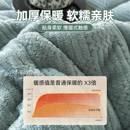 加厚保暖牛奶绒20260908垫上面铺的褥子米床褥5冬季珊瑚底毛绒毯