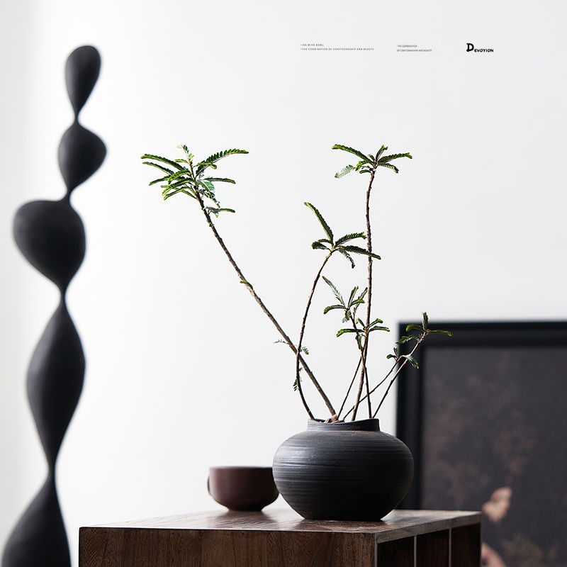 叶下珠绿植盆栽北欧简约风格四季常绿观叶植物阳台客厅净化空气