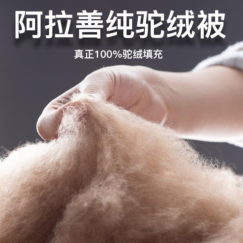 升秋级版纯F95TJJJT绒驼被子纯棉加厚保暖冬被单双人芯春被驼毛被