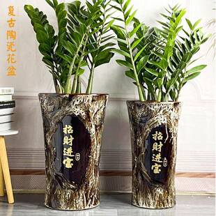 陶瓷花盆种特大进号宝NSU高款古金钱树客厅树带托典盘